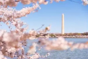 亚博体育入口-洛杉矶快船赛前伤情更新，志在荷甲名次提升，信心回归，轮换策略成焦点