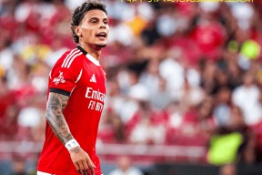 本菲卡赛程赛果