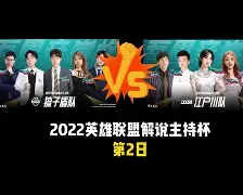 2007年季后赛热火公牛本华莱士视频