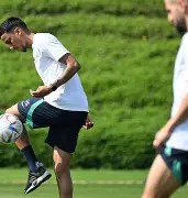 车尔尼599第44条谱子